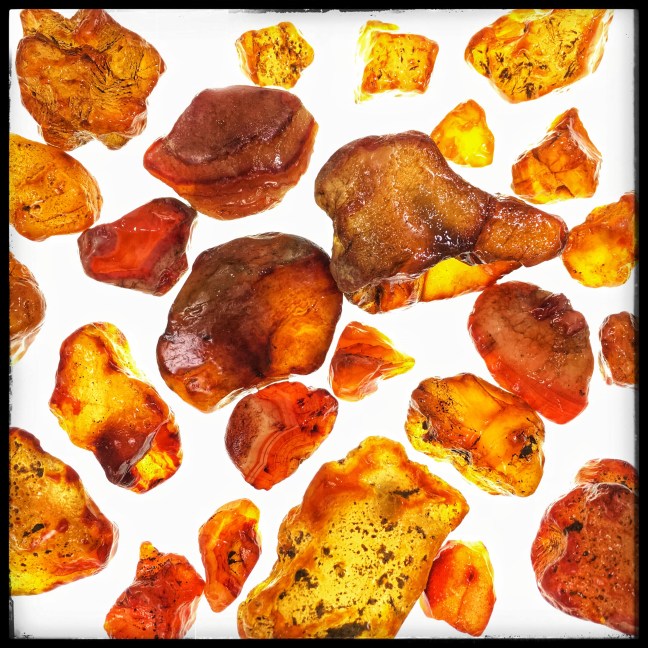 Raw Carnelians from Washington State