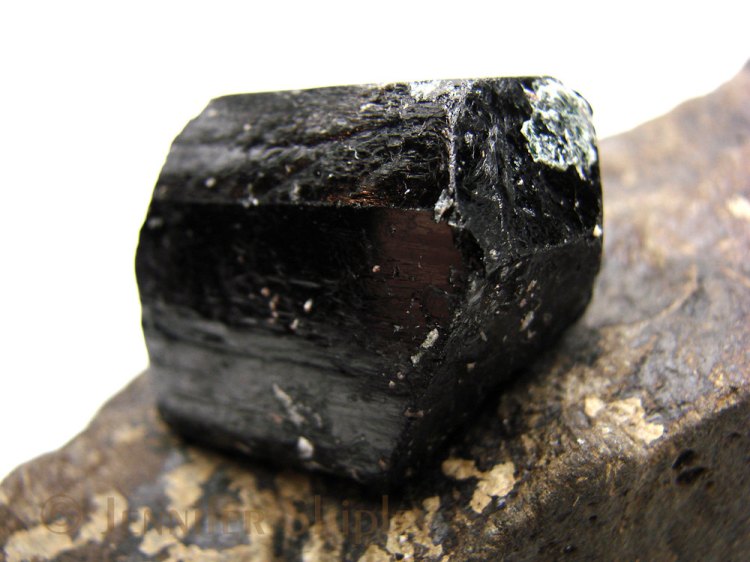 Raw Black Tourmaline Crystal