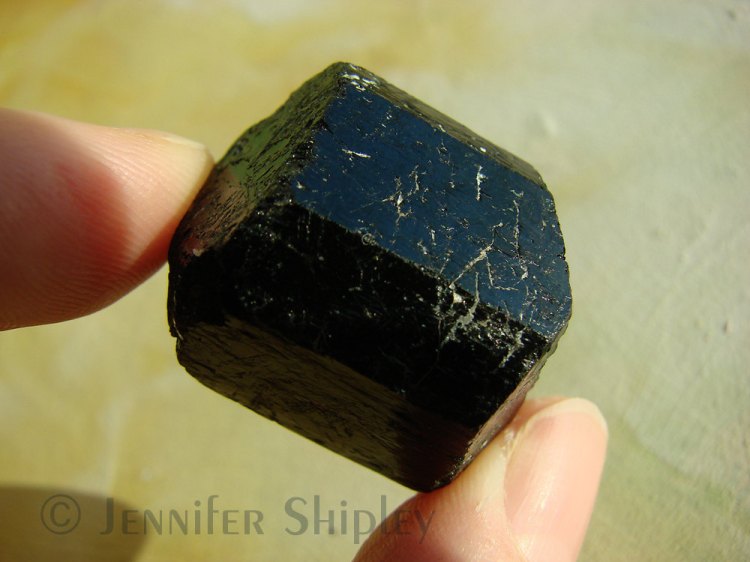 Double Terminated Raw Black Tourmaline Crystal