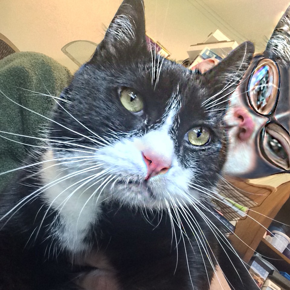 A Hilarious Multitasking Mishap Leads to New Friends at Poison Control&nbsp;Hotline